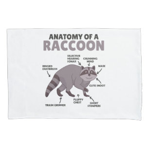 Funda De Cojín Dulce Anatomía De Explicación De Racco De Un Racco