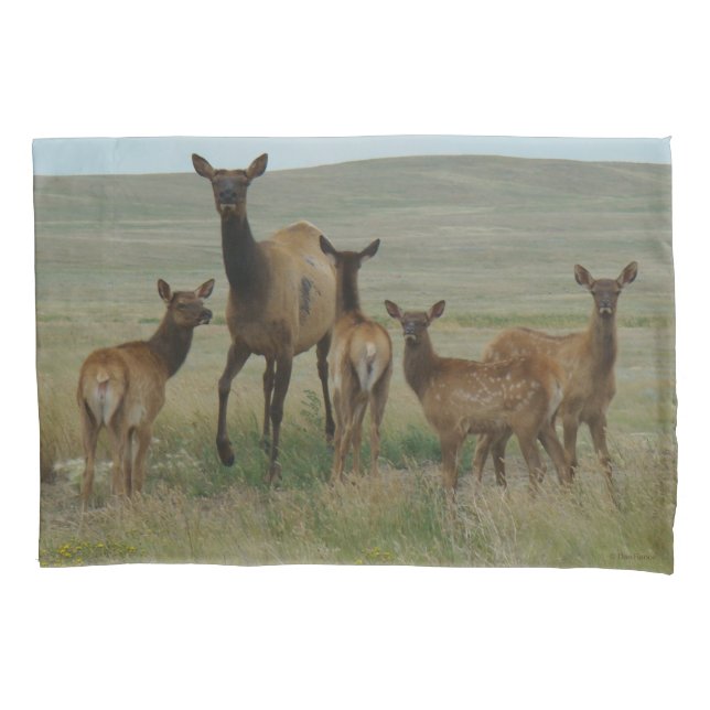 Funda De Cojín E44 Alces hembra y crías (Anverso)