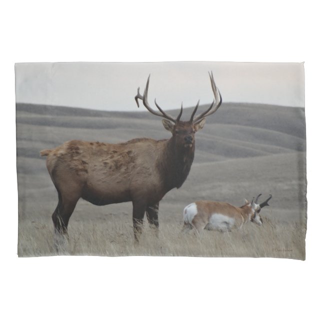Funda De Cojín E63 Toro alce y antílope macho (Anverso)