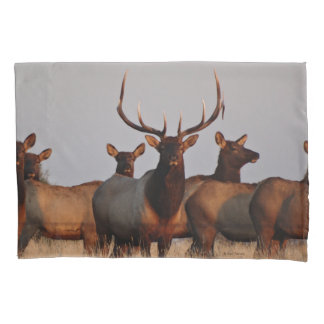 Funda De Cojín E66 Alce Toro y Vacas