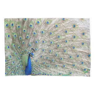 Funda De Cojín El animal del pájaro del pavo real empluma la