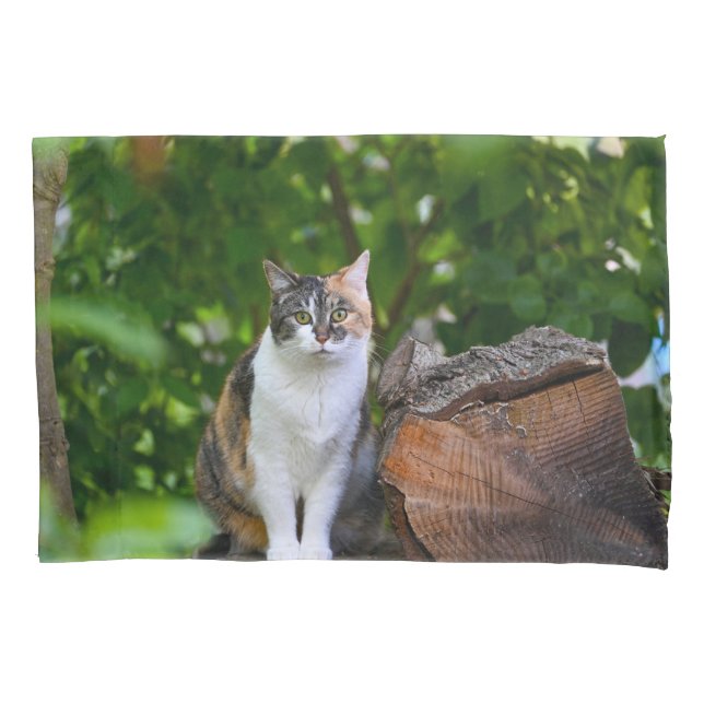 Funda De Cojín El gato   (Anverso)