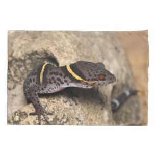 Funda De Cojín El gecko de Lichtenfelder