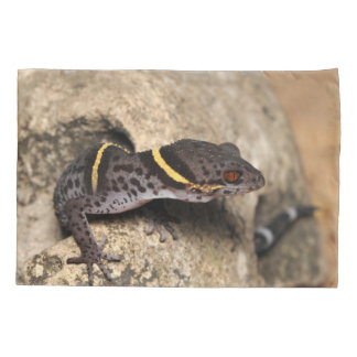 Funda De Cojín El gecko de Lichtenfelder