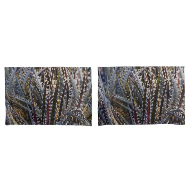 Funda De Cojín Encanto de Dyckia (Anverso - Set)