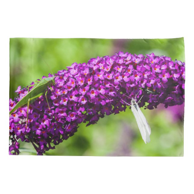 Funda De Cojín energía katydid (Reverso)