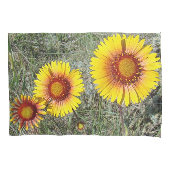 Funda De Cojín F17 Flores silvestres amarillas Gaillardia (Anverso)