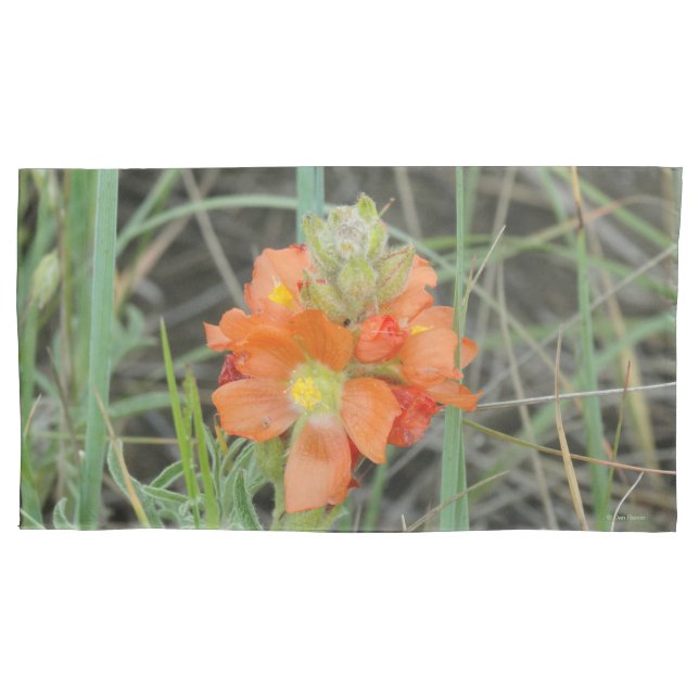 Funda De Cojín F40 Flores Silvestres Naranjas Malva Escarlata (Anverso)