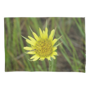 Funda De Cojín F41 Flor Amarilla Silvestre Barba de Cabra
