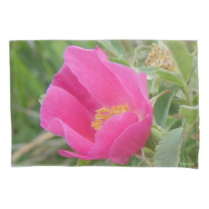 Funda De Cojín F7 Rosa Silvestre Flor Brillante Rosa