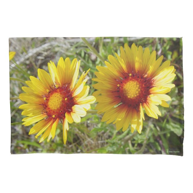 Funda De Cojín F8 Flores Silvestres Amarillas Gaillardia (Anverso)