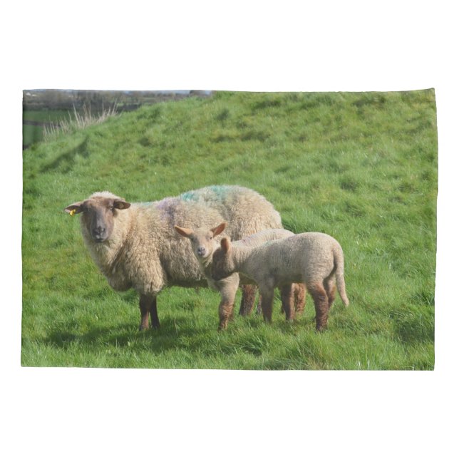 Funda De Cojín Familia de las ovejas (Reverso)