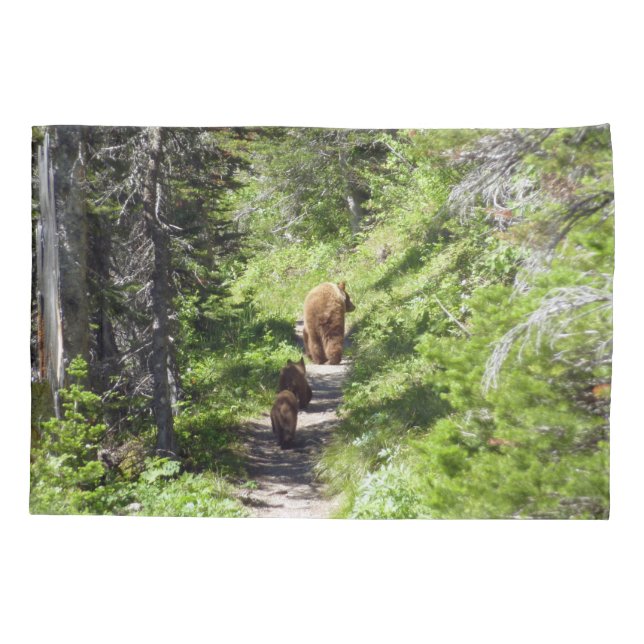 Funda De Cojín Familia de osos pardos (Reverso)