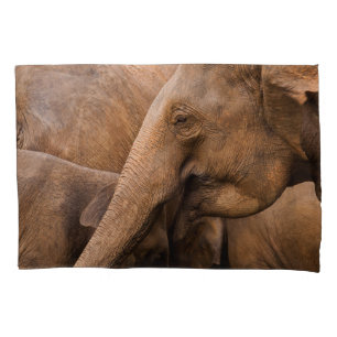 Funda De Cojín Familia Elefante: Vida silvestre majestuosa