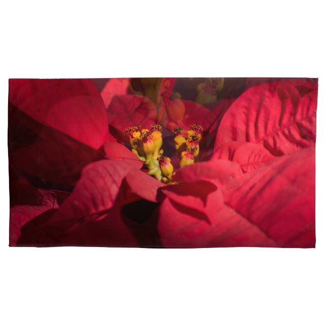Funda De Cojín Flor de Navidades rojos de Poinsettia (Anverso-izquierdo)