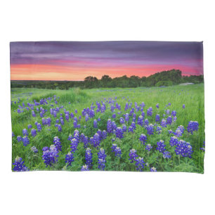 Funda De Cojín Flores Bluebonnets en Sunset Texas
