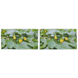 Funda De Cojín Flores Silvestres del Bosque – Fotografía Botánica