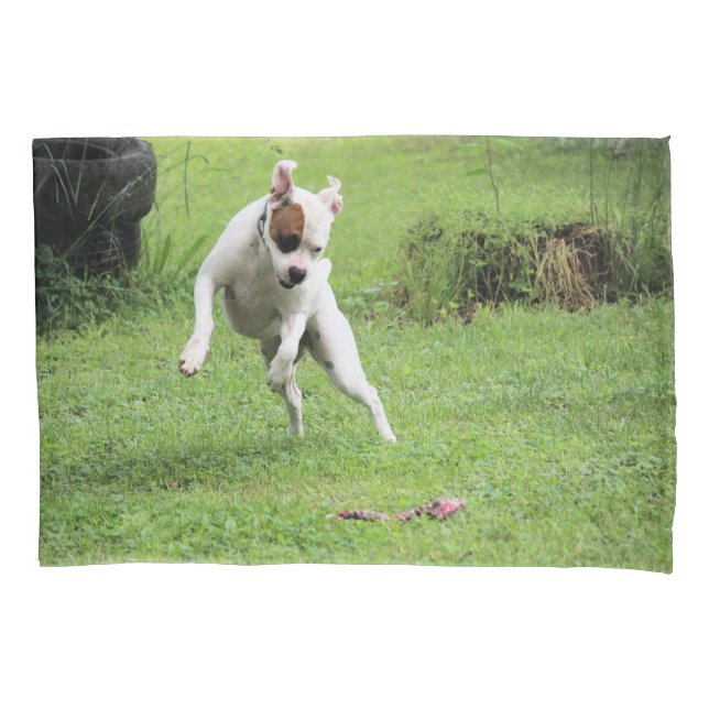 Funda De Cojín Flotante (Anverso)