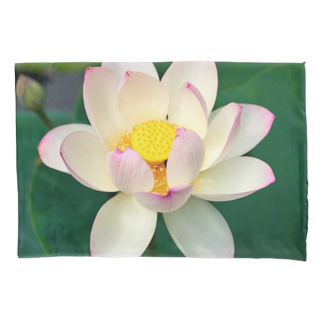 Funda De Cojín Flowers | Lotus Water Flower (Anverso)