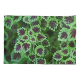Funda De Cojín Foliage Coleus Variegado en huelga