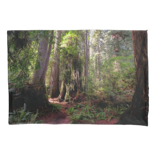 Funda De Cojín Forests | Redwood Forest California (Anverso)