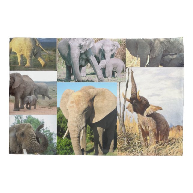 Funda De Cojín Foto de color del elefante (Reverso)