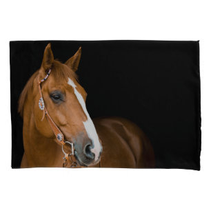 Funda De Cojín Foto de hermoso caballo cuarto de milla marrón bla