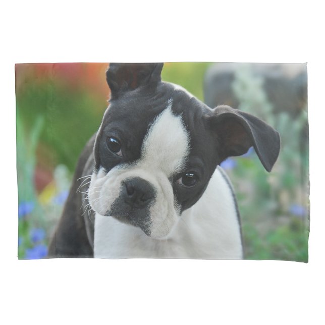 Funda De Cojín Foto linda del perrito del perro de Boston Terrier (Anverso)
