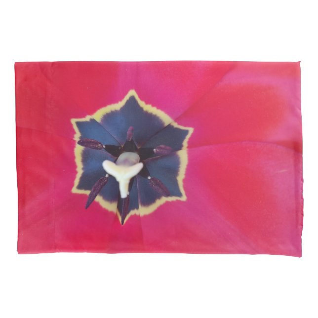 Funda De Cojín Fotografía de la naturaleza de la macro de la flor (Anverso)