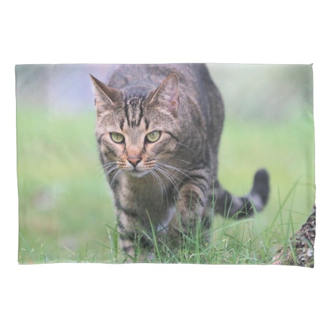 Funda De Cojín Gabe (Anverso)