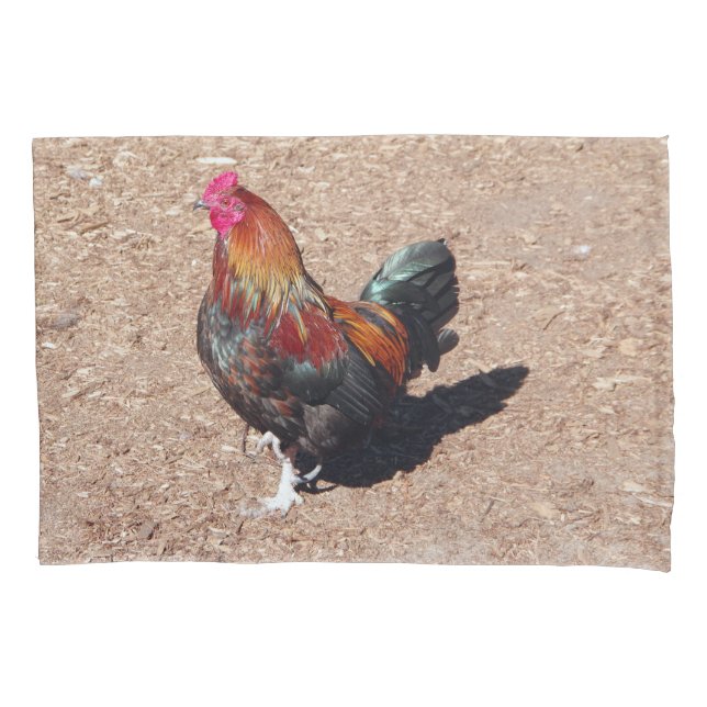Funda de cojín Gallo de oro Cockerel (Anverso)