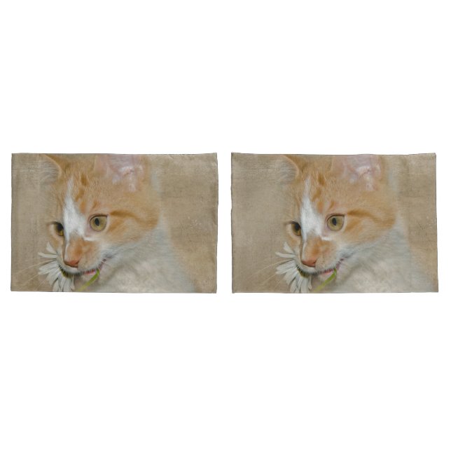 Funda De Cojín Gatito de Tabby con una margarita blanca (Reverso-Set)