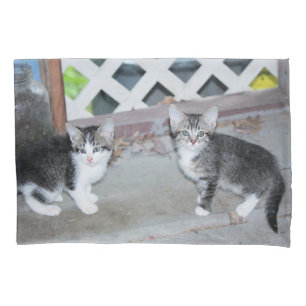 Funda De Cojín Gatitos