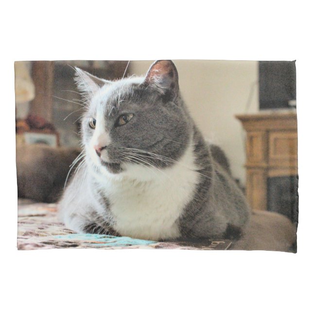 Funda De Cojín Gato (Anverso)