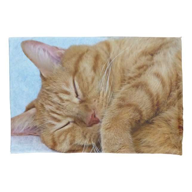 Funda De Cojín Gato de jengibre dormido (Anverso)