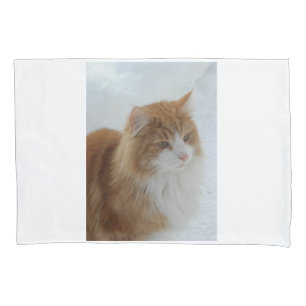 Funda De Cojín Gato_del_bosque_noruego