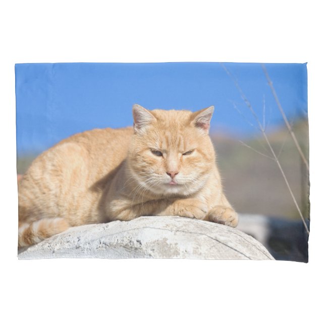 Funda De Cojín Gato perezoso (Anverso)