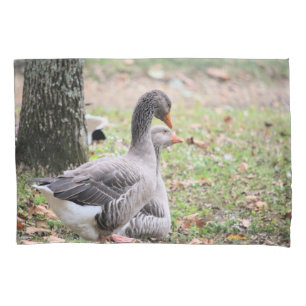 Funda De Cojín Geese