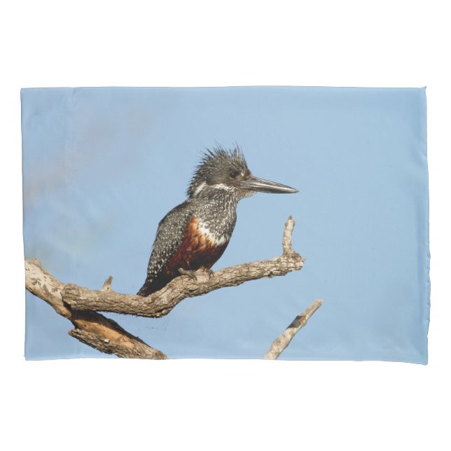 Funda De Cojín Giant Kingfisher (Anverso)
