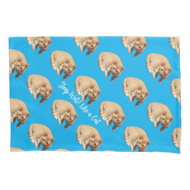 Funda De Cojín Ginger Cute Cat Photo Text Blue Red  (Anverso)