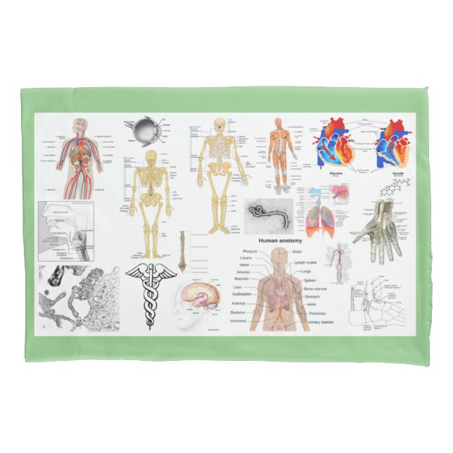 Funda De Cojín Gráficos médicos de anatomía humana (Anverso)