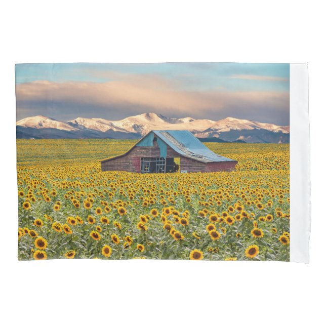 Funda De Cojín Granjas | Campo de girasol (Anverso)