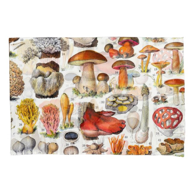 FUNDA DE COJÍN HABITACIONES 2 (Anverso)