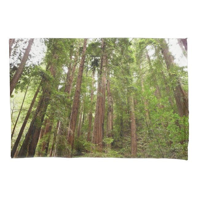 Funda De Cojín Hasta secuoyas en el Monumento Nacional Muir Woods (Anverso)