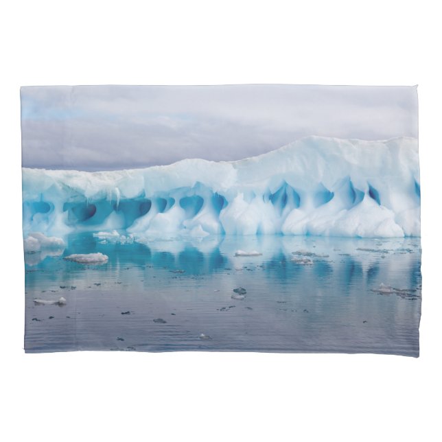 Funda De Cojín Hielo en la Antártida (Anverso)