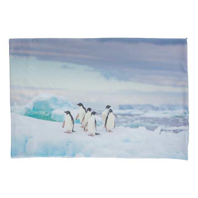 Funda De Cojín Hielo y nieve | Adelie Penguins Antártida (Anverso)