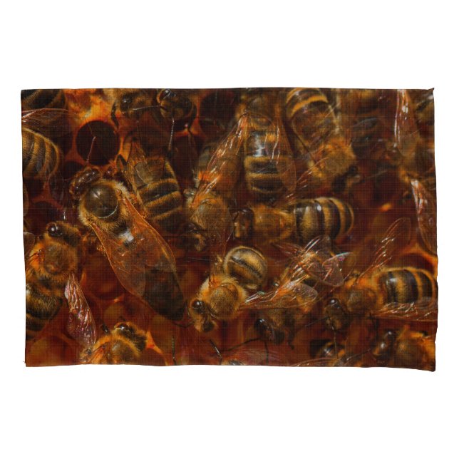 FUNDA DE COJÍN HONEYBEES 7 (Anverso)