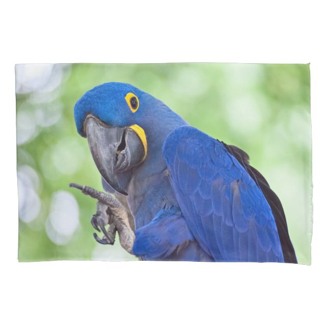 Funda De Cojín Hyacinth Macaw Bird (Anverso)