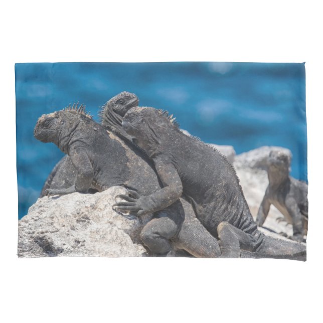 Funda De Cojín Iguana marina (Anverso)