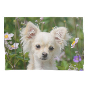 Funda De Cojín Imagen de portero de cachorro chihuahua, crema cut